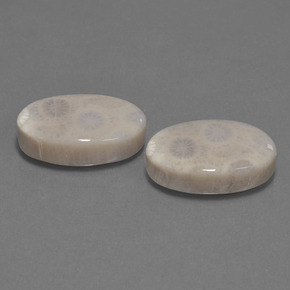  карата, натуральный Многоцветный Ископаемый коралл, Огранка Овал, Непрозрачный