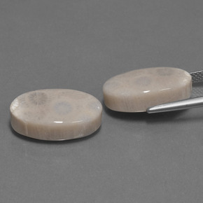  карата, натуральный Многоцветный Ископаемый коралл, Огранка Овал, Непрозрачный