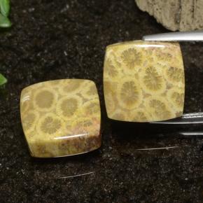 22.09 карата, натуральный Многоцветный Ископаемый коралл, Квадрат, Непрозрачный