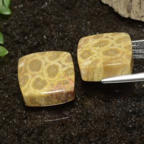 22.09 карата, натуральный Многоцветный Ископаемый коралл, Квадрат, Непрозрачный