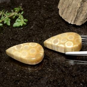 28.50 карата, натуральный Многоцветный Ископаемый коралл, Форма груши, Непрозрачный