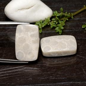 Натуральный Многоцветный Ископаемый коралл 25,59 карата Подушка Крой, Непрозрачный