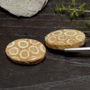 29.50 карата, натуральный Многоцветный Ископаемый коралл, Огранка Овал, Непрозрачный