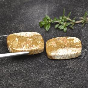 16.41 карата, натуральный Многоцветный Ископаемый коралл, Подушка Крой, Непрозрачный