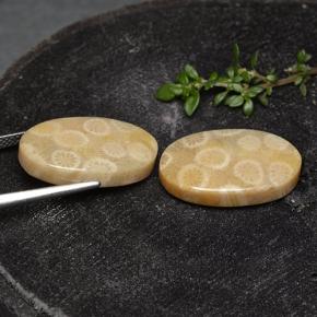 24.38 карата, натуральный Многоцветный Ископаемый коралл, Огранка Овал, Непрозрачный