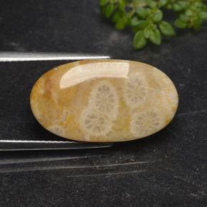 11.06 карата, натуральный Многоцветный Ископаемый коралл, Огранка Овал, Непрозрачный