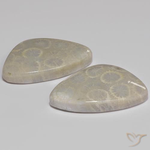 27.77 карата, натуральный Многоцветный Ископаемый коралл, Необычная форма, Непрозрачный