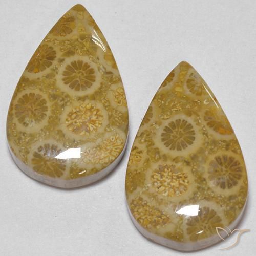 17.56 карата, натуральный Многоцветный Ископаемый коралл, Форма груши, Непрозрачный