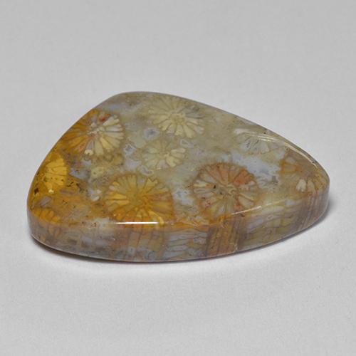 11.00 карата, натуральный Многоцветный Ископаемый коралл, Необычная форма, Непрозрачный