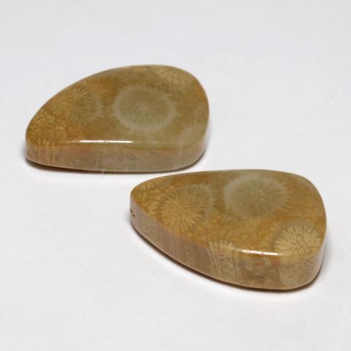 21.03 карата, натуральный Многоцветный Ископаемый коралл, Необычная форма, Непрозрачный