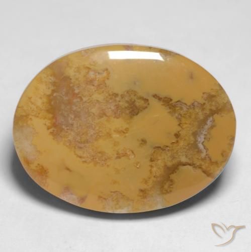 12.65ct Натуральный Многоцветный Ископаемый коралл, Овал, Непрозрачный