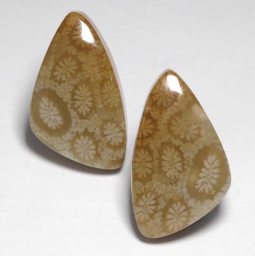 24.76 карата, натуральный Многоцветный Ископаемый коралл, Необычная форма, Непрозрачный