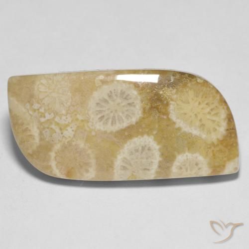 13.52 карата, натуральный Многоцветный Ископаемый коралл, Необычная форма, Непрозрачный