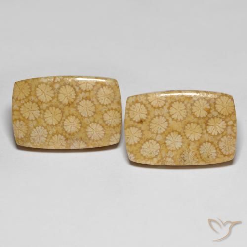 27.38 карата, натуральный Многоцветный Ископаемый коралл, Подушка Крой, Непрозрачный