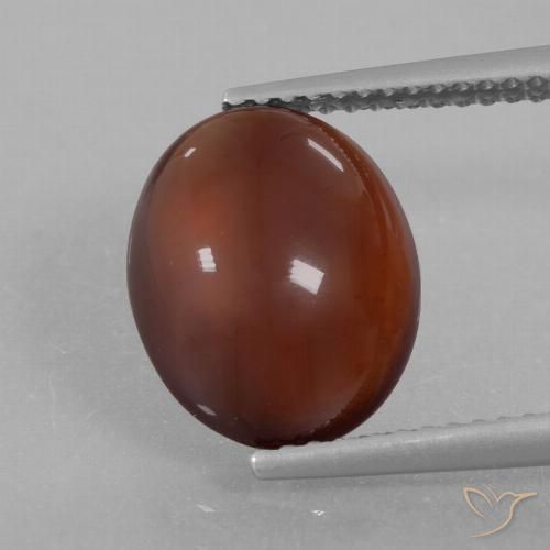 5.35ct Натуральный Теплый коричневый Гранат Гессонит, Овал, Полупрозрачный