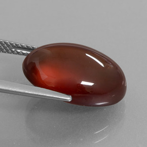 12.33 карата, натуральный Оранжевый Гранат Гессонит, Огранка Овал, Полупрозрачный