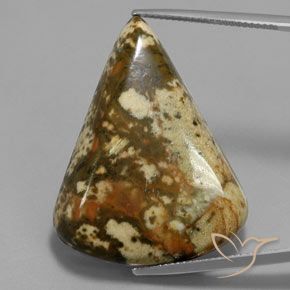 50.54ct Натуральный Многоцветный Яшма, причудливая, Непрозрачный