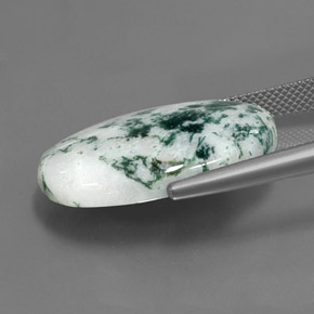 17.10 карата, натуральный Многоцветный Яшма, Огранка Овал, Непрозрачный