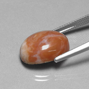 9.66 карата, натуральный Многоцветный Яшма, Огранка Овал, Непрозрачный