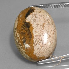 34.16ct Натуральный Многоцветный Яшма, Овал, Непрозрачный