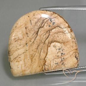 33.01ct Натуральный Многоцветный Яшма, причудливая, Непрозрачный