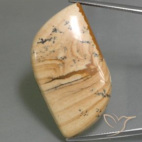 45.75ct Натуральный Многоцветный Яшма, причудливая, Непрозрачный