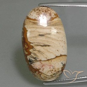 18.14ct Натуральный Многоцветный Яшма, Овал, Непрозрачный