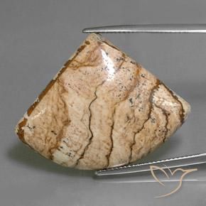 35.80ct Натуральный Многоцветный Яшма, причудливая, Непрозрачный