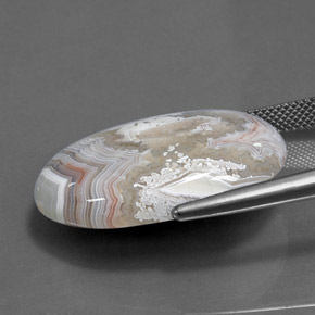 24.90 карата, натуральный Многоцветный Яшма, Огранка Овал, Непрозрачный