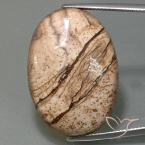 40.47ct Натуральный Многоцветный Яшма, Овал, Непрозрачный