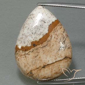 31.10ct Натуральный Многоцветный Яшма, Форма груши, Непрозрачный