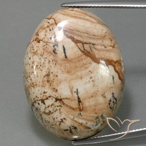 44.54ct Натуральный Многоцветный Яшма, Овал, Непрозрачный