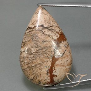 36.58ct Натуральный Многоцветный Яшма, Форма груши, Непрозрачный