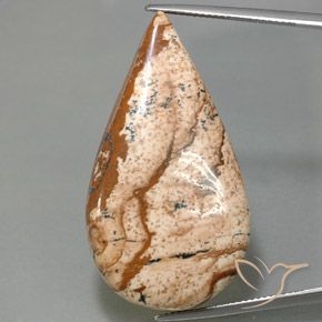 43.77ct Натуральный Многоцветный Яшма, Форма груши, Непрозрачный