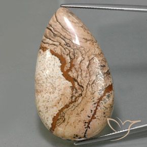 73.69ct Натуральный Многоцветный Яшма, Форма груши, Непрозрачный