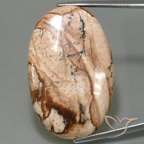 40.77ct Натуральный Многоцветный Яшма, Овал, Непрозрачный