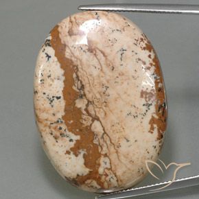 54.96ct Натуральный Многоцветный Яшма, Овал, Непрозрачный
