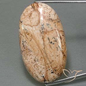 49.05ct Натуральный Многоцветный Яшма, Овал, Непрозрачный