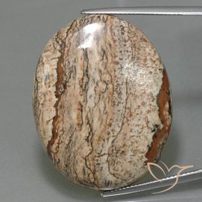 49.58ct Натуральный Многоцветный Яшма, Овал, Непрозрачный
