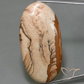 44.16ct Натуральный Многоцветный Яшма, Овал, Непрозрачный