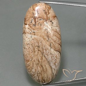44.33ct Натуральный Многоцветный Яшма, Овал, Непрозрачный