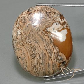 67.93ct Натуральный Многоцветный Яшма, Овал, Непрозрачный
