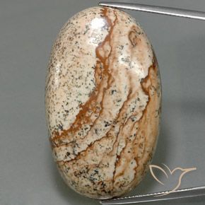 56.03ct Натуральный Многоцветный Яшма, Овал, Непрозрачный