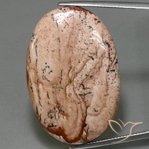 40.50ct Натуральный Многоцветный Яшма, Овал, Непрозрачный