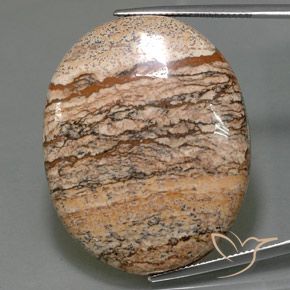 65.05ct Натуральный Многоцветный Яшма, Овал, Непрозрачный