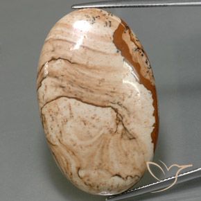 61.25ct Натуральный Многоцветный Яшма, Овал, Непрозрачный