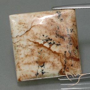 25.13ct Натуральный Многоцветный Яшма, Квадрат, Непрозрачный