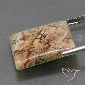 25.13 карата, натуральный Многоцветный Яшма, Квадрат, Непрозрачный