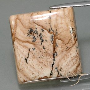 35.31ct Натуральный Многоцветный Яшма, Квадрат, Непрозрачный