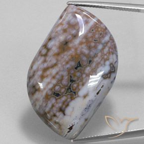 50.91ct Натуральный Многоцветный Яшма, причудливая, Непрозрачный